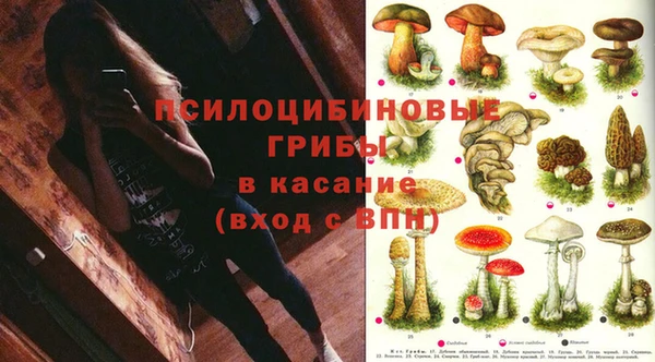 кокс Баксан